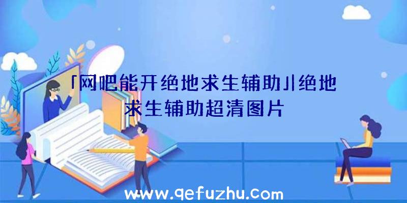 「网吧能开绝地求生辅助」|绝地求生辅助超清图片